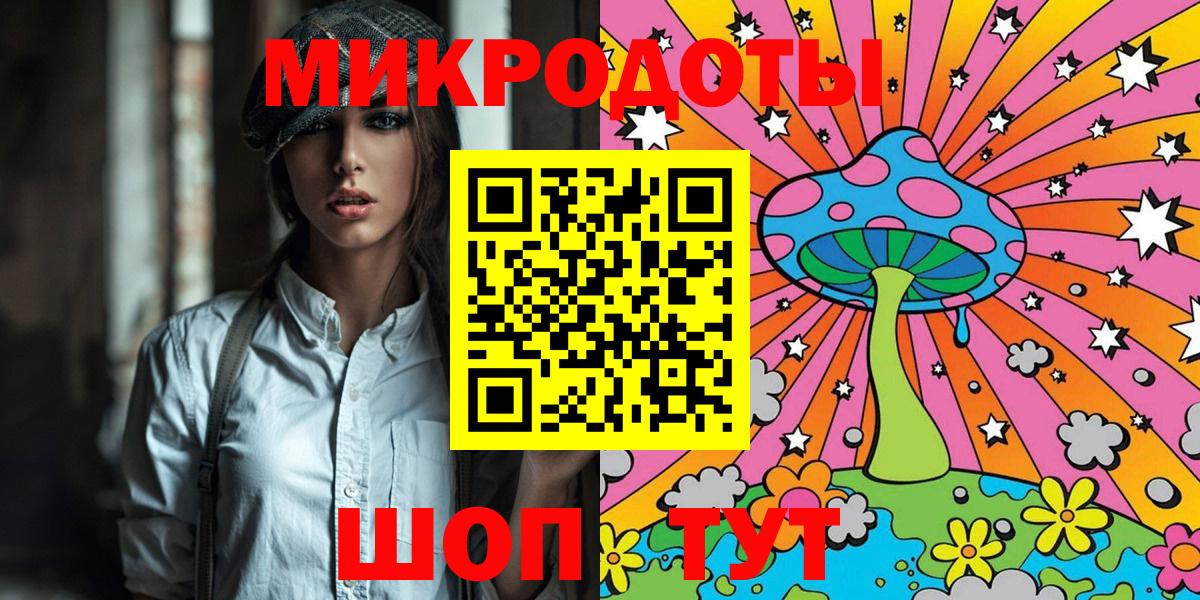 Псилоцибиновые грибы Psilocybine cubensis Балтийск